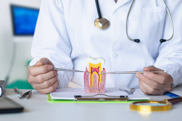 Best Emergency Denture Repair in Greenfield, OH